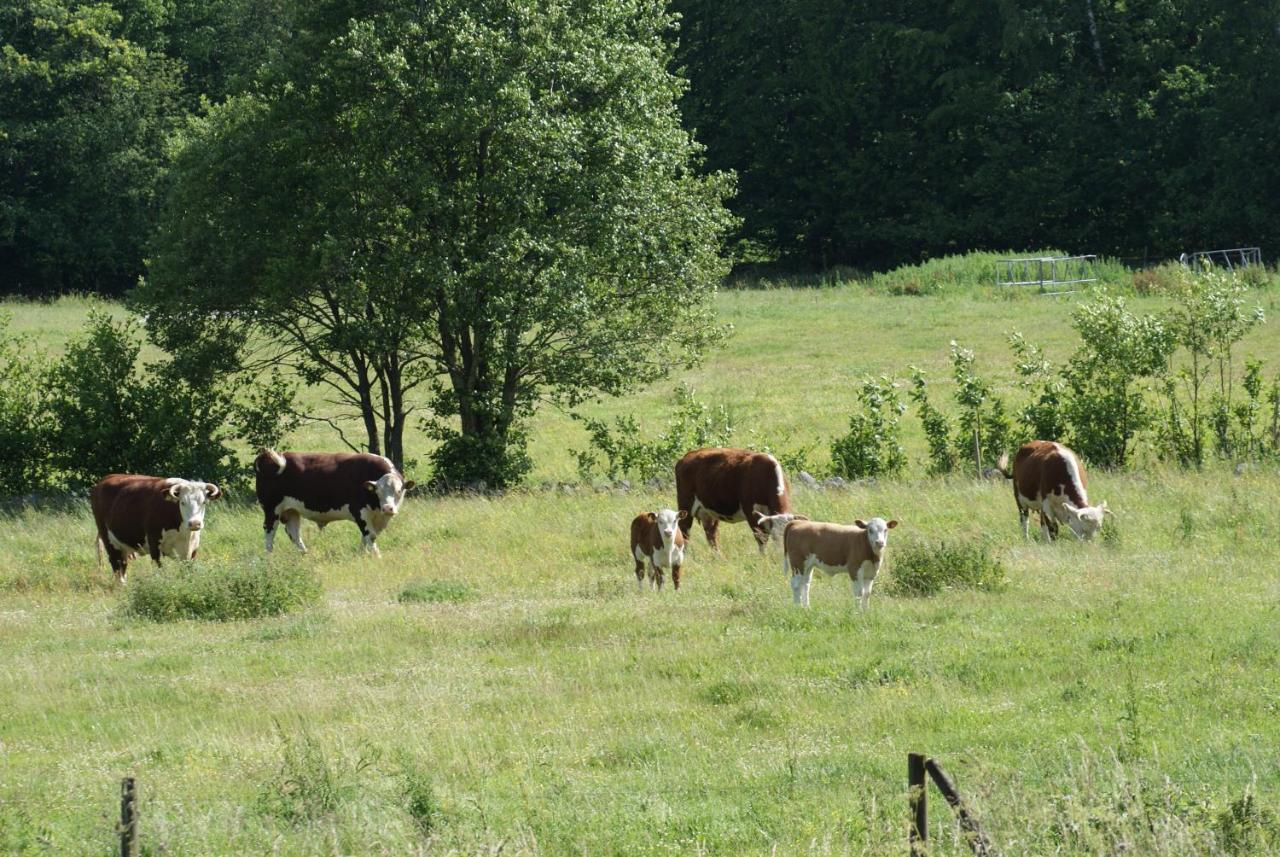 The Old Henhouse Bed & Breakfast Tollarp Eksteriør bilde