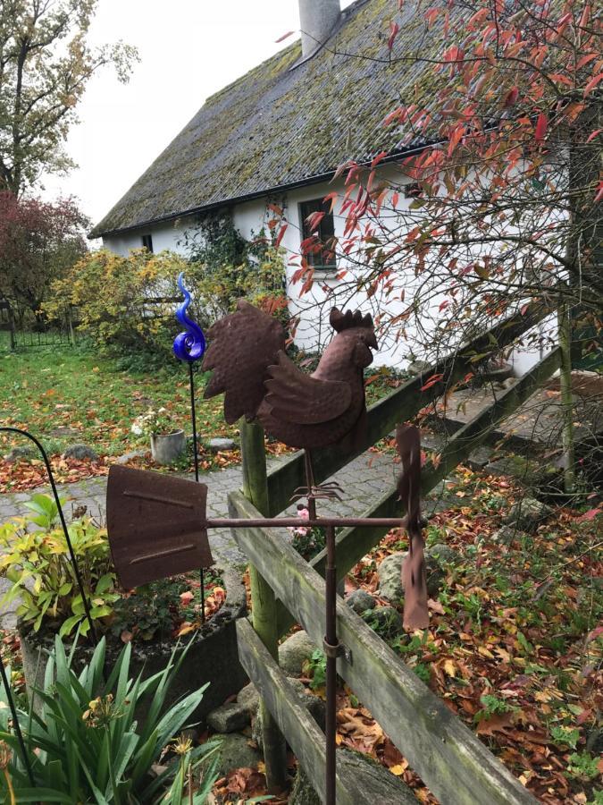 The Old Henhouse Bed & Breakfast Tollarp Eksteriør bilde
